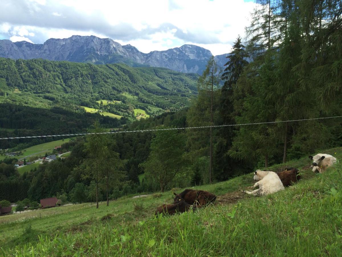Kreitalm - Kraftplatz Im Salzkammergut Neukirchen  エクステリア 写真
